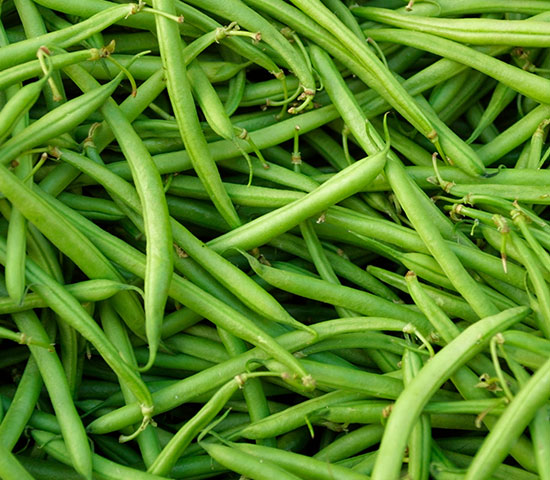 Beans