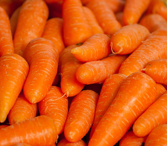 carrot