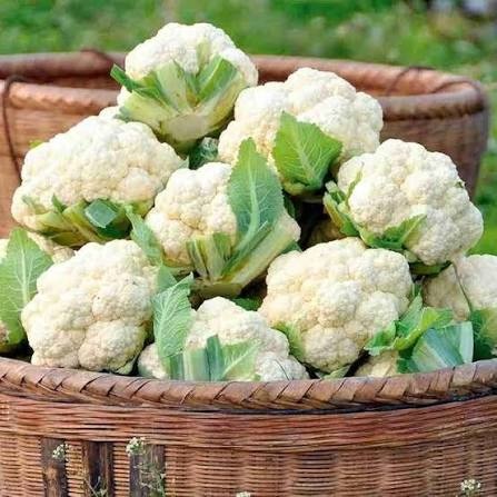 Cauliflower Phool Gobhi