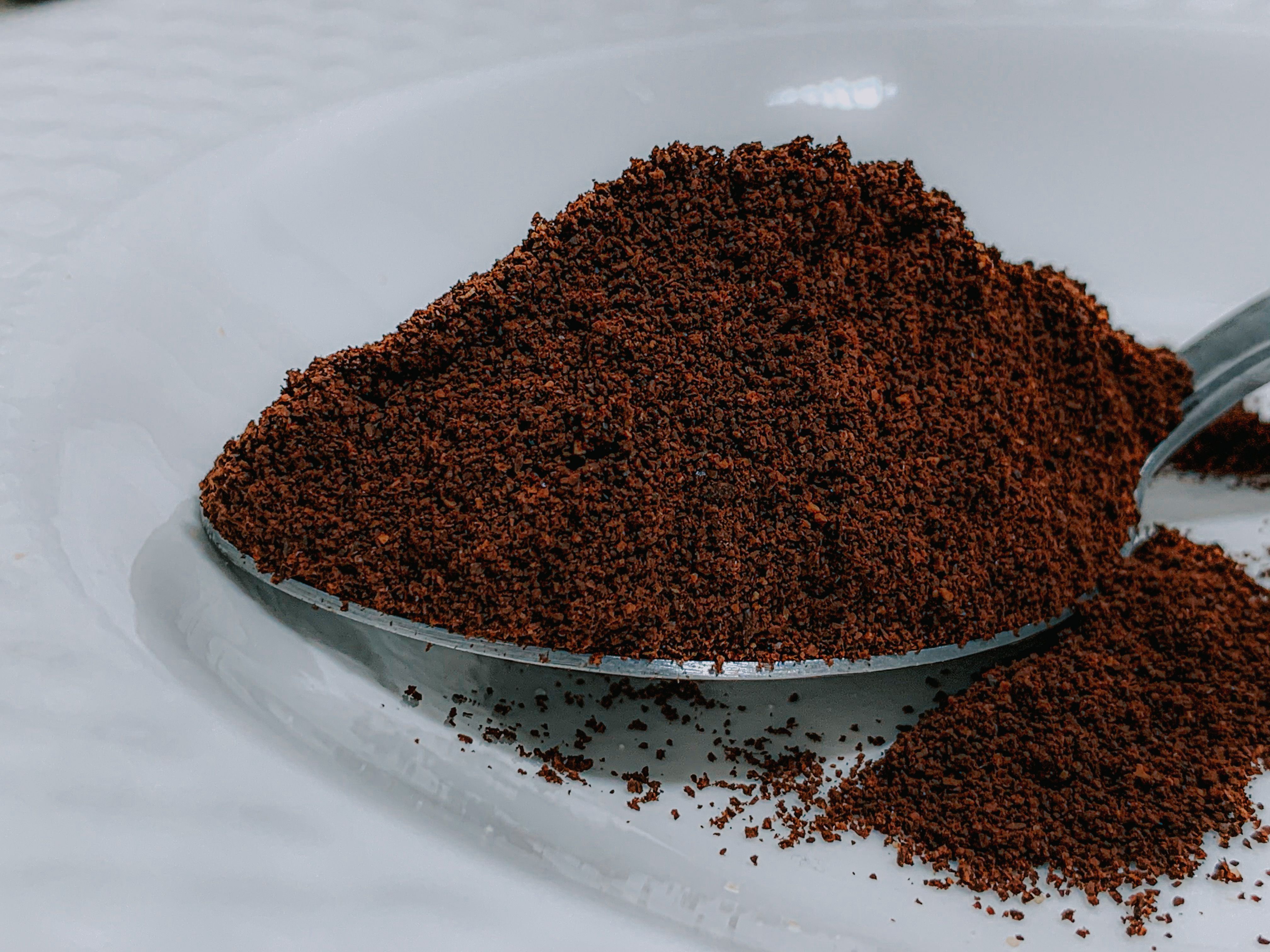 Coffee Powder