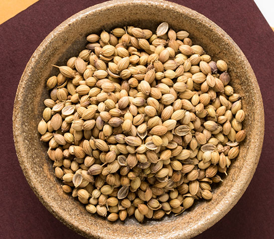 coriander seeds dhania