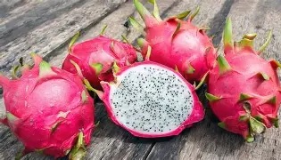 Dragon Fruit