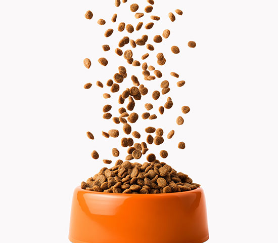 Foods for Pets If needed