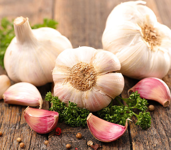 Garlic