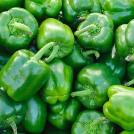 Green Capsicum Shimla Mirch