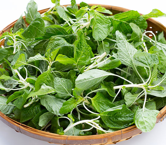 Keerai Amaranthus