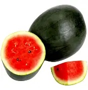Kiran Watermelon Tarbuj