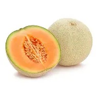 Muskmelon Kharbuja