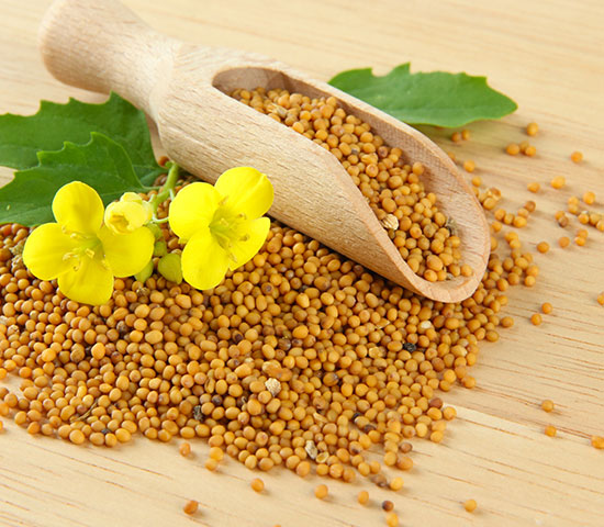 Mustard seeds