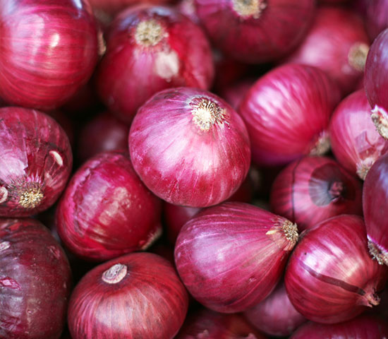 Onion
