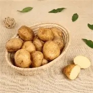 Potato Aloo
