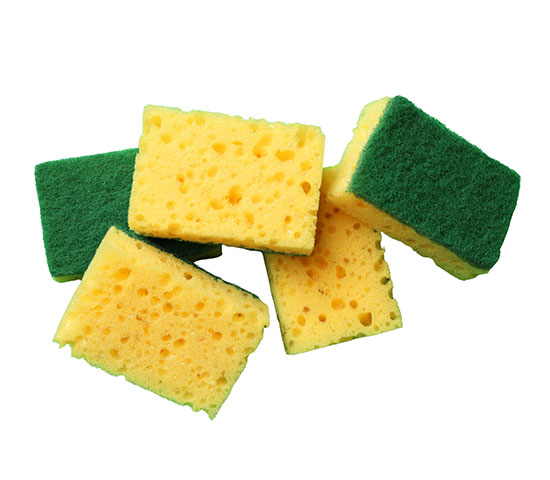 Sponges