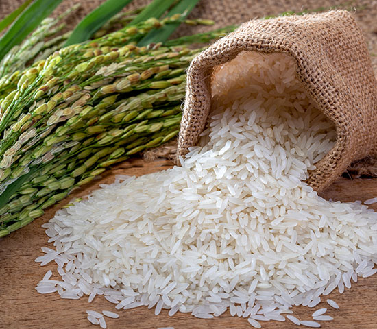 Steamed rice or Raw Rice