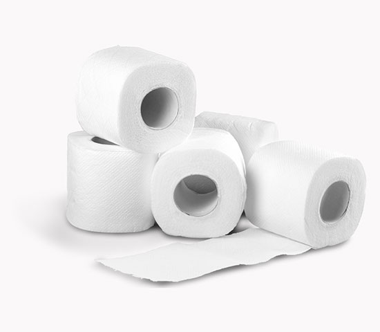 Toilet paper 1 bundle