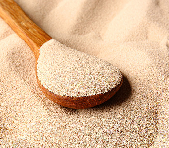 Yeast