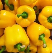 Yellow Bell Pepper